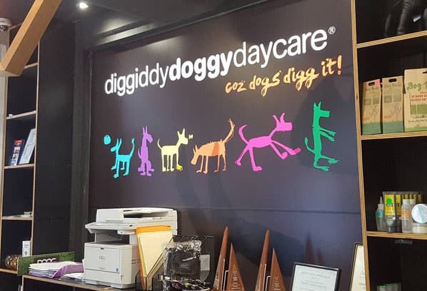 Dig Dog Office