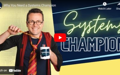 Why You Need a Systems Champion