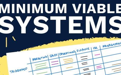 What Are Your Minimum Viable Systems? (MVS)