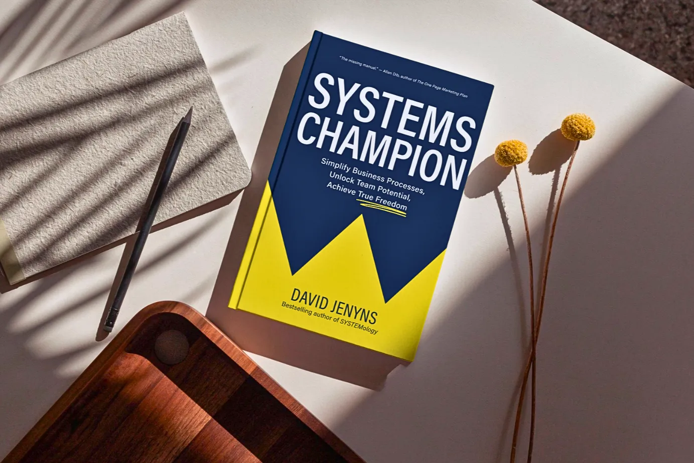Systems Champion by David Jenyns